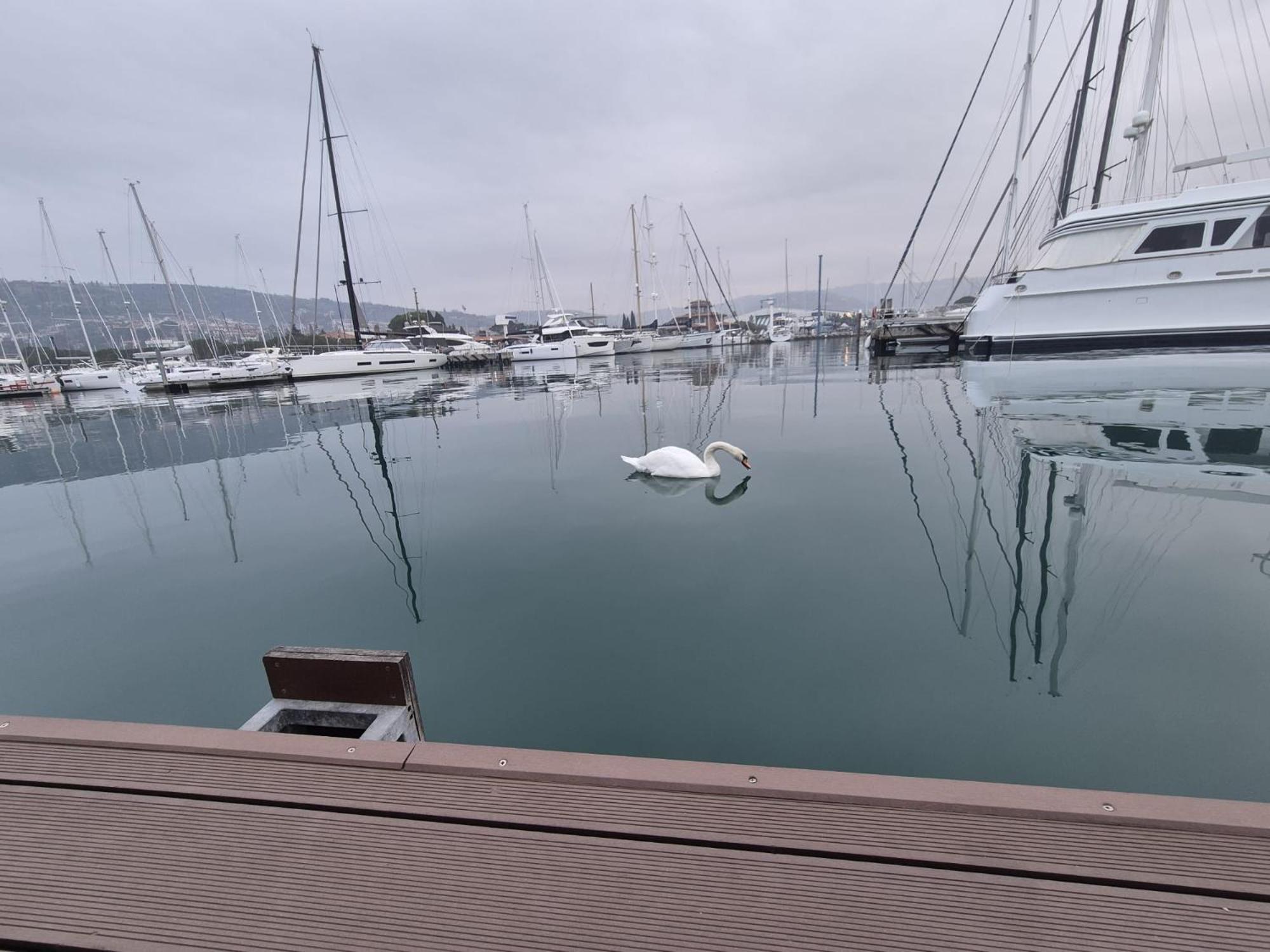 Floating Sea House Aurora Vila Portorož Exterior foto