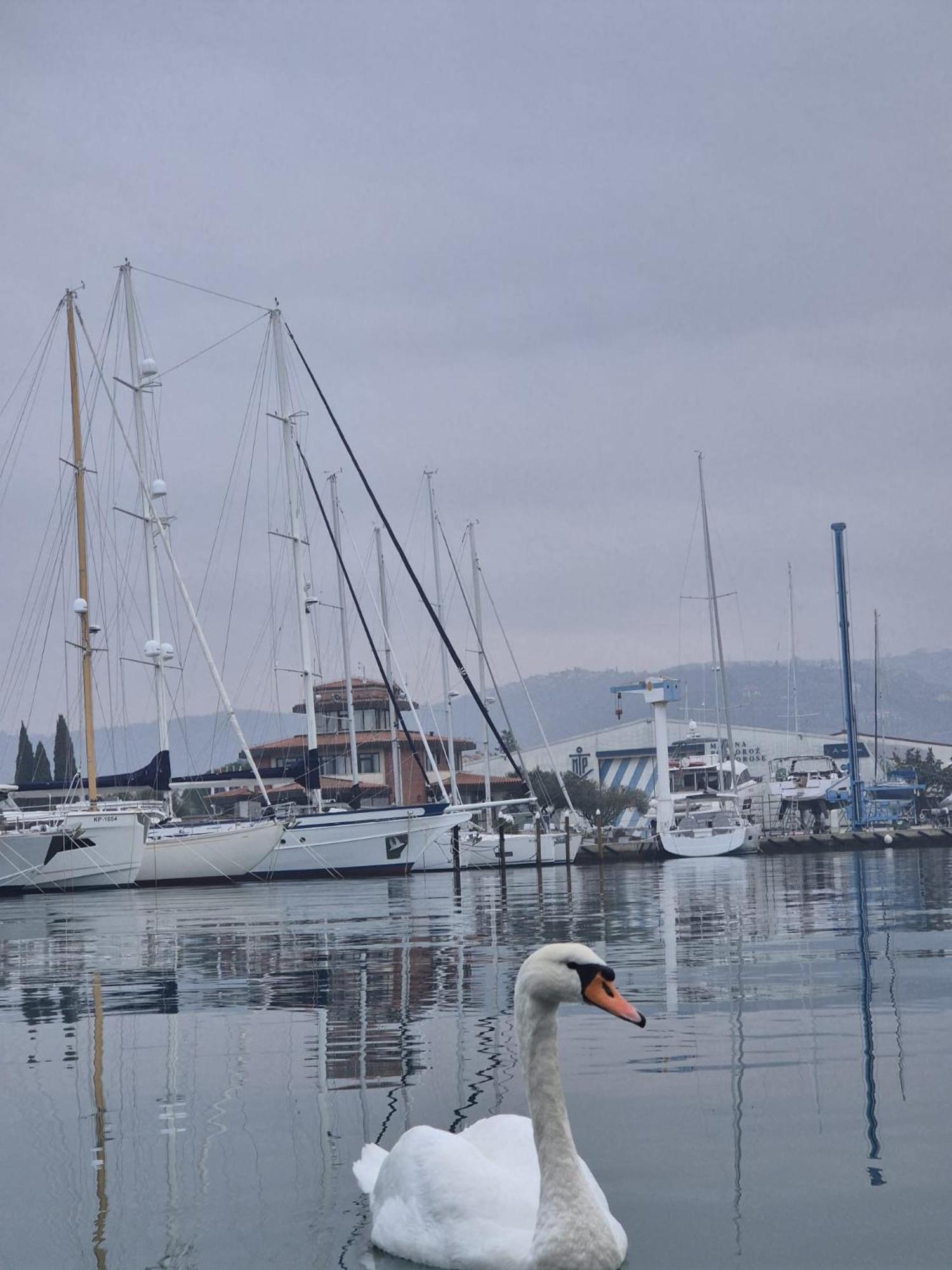 Floating Sea House Aurora Vila Portorož Exterior foto