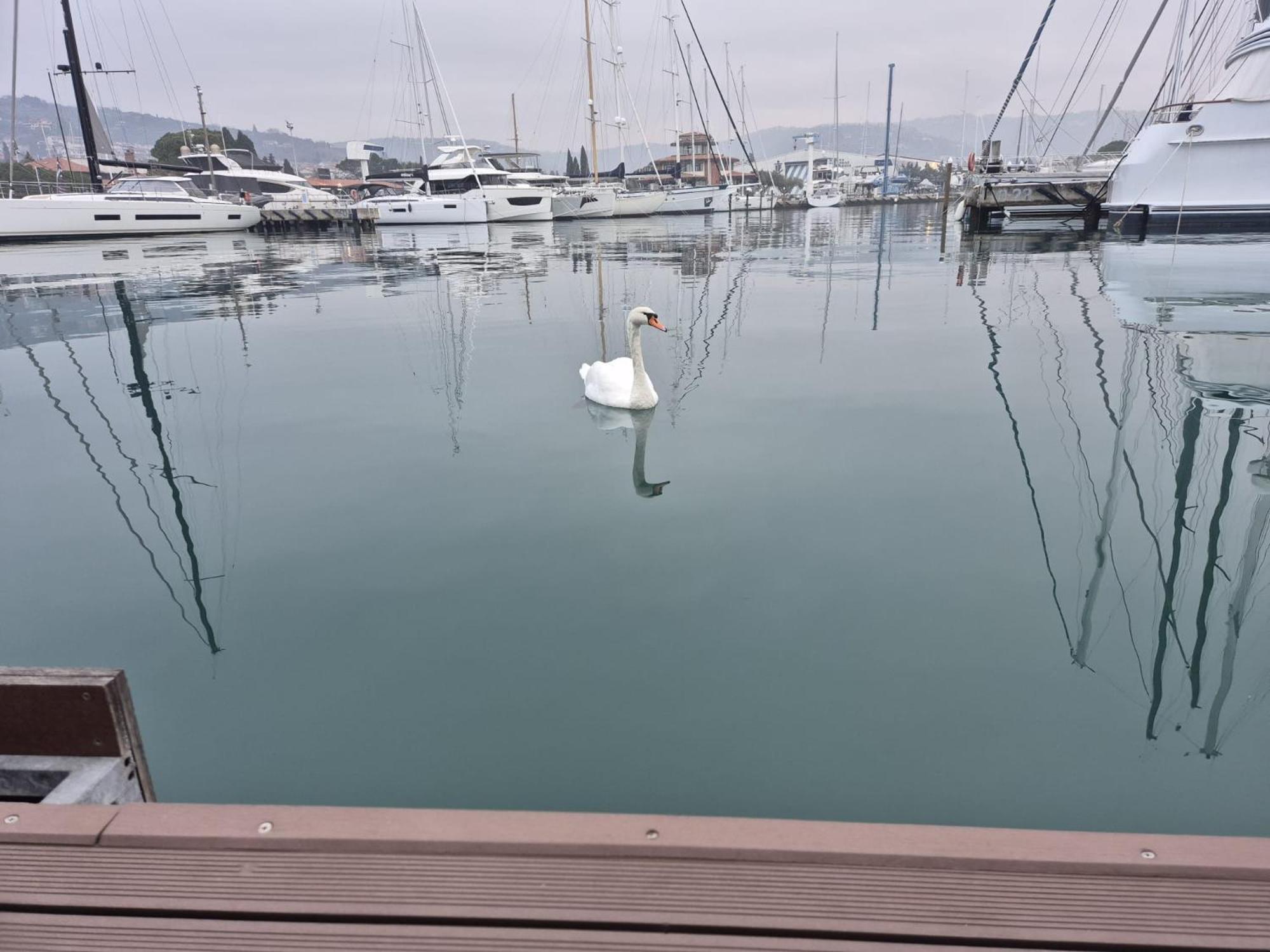 Floating Sea House Aurora Vila Portorož Exterior foto